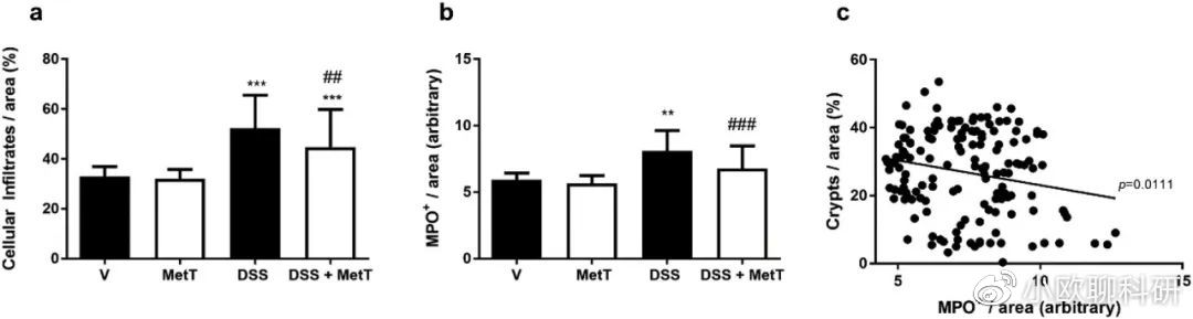 观察组和对照组的区别 实验组和控制组如何区分