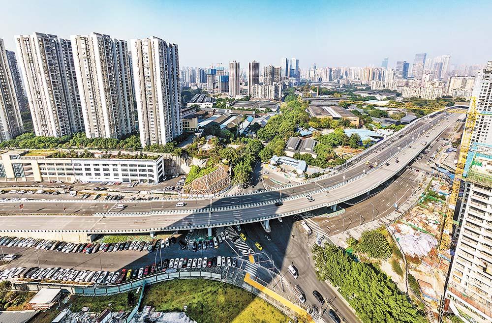 凌晨两点钟的救命电话：当城市突然需要一张床