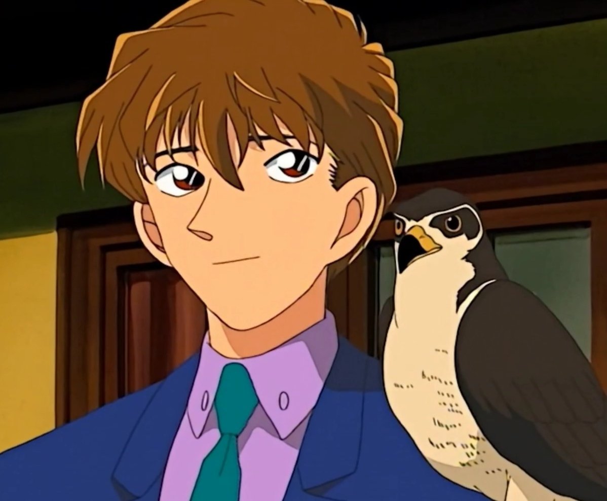 你好像基德哦基德=白马探不知什么种类的鸟=鸽子@帅帅的快斗老公