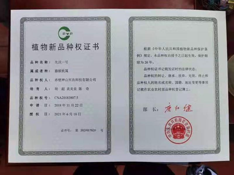 湖北赤壁猕猴桃企业获批6项植物新品种权