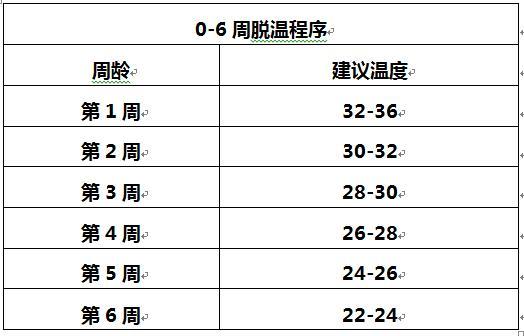 智慧蛋鸡:蛋鸡养殖之第一周育雏温度突然降低,您遇到过吗?