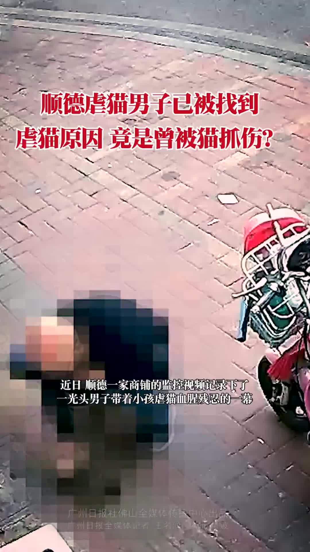 顺德一男子带着小孩两次当街虐猫，律师：已侵犯猫主财产权休闲区蓝鸢梦想 - Www.slyday.coM