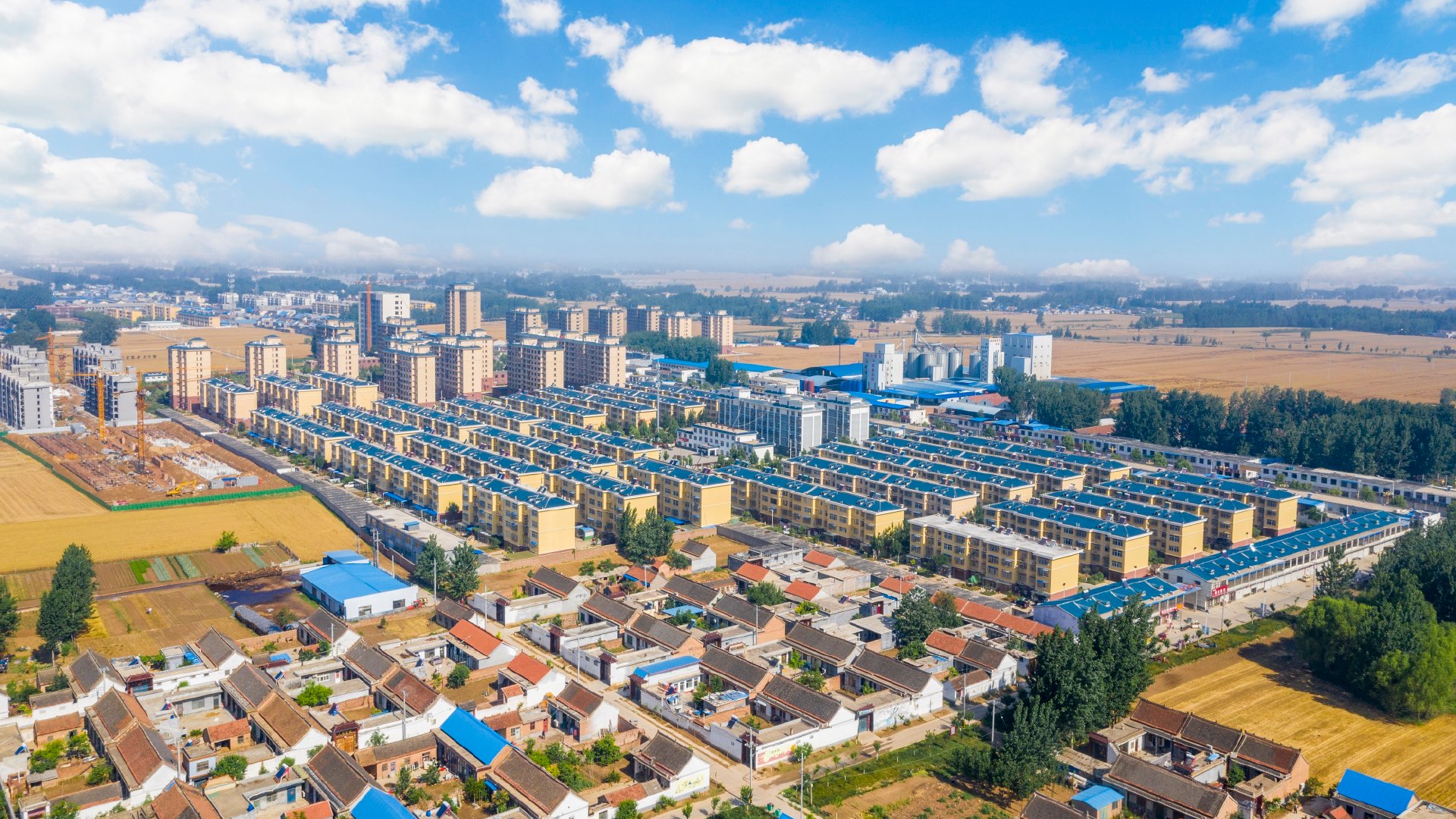 发展规模产业探索城乡融合定陶区马集镇乡村振兴新路径探访