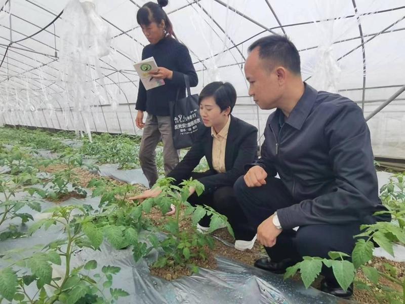 全国人大代表付庆梅：振兴产业 富民强村|产业|付庆梅|供图_新浪新闻
