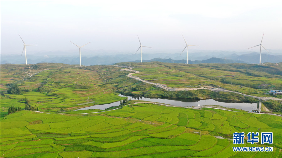 图为8月8日航拍的花溪区高坡苗族乡田园风光.新华网 周远钢 摄