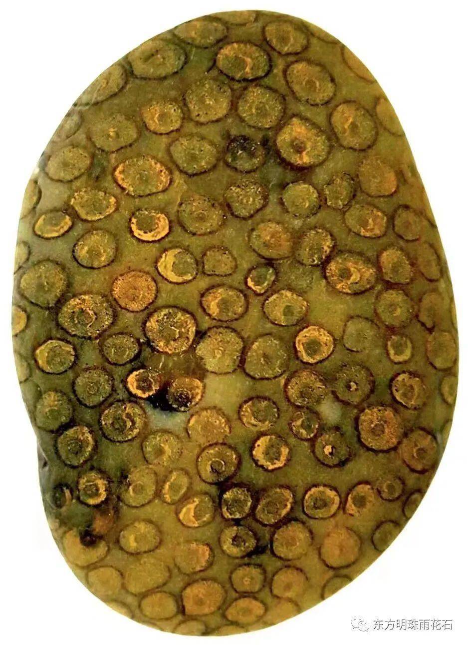 南京雨花石 藏家珍品选(九) 尹石藏石__财经头条