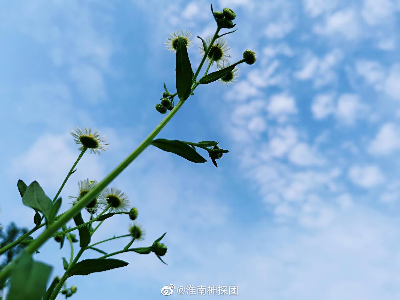 每一個陽光明媚的日子,心裡都會開出小小的幸福之花.hi