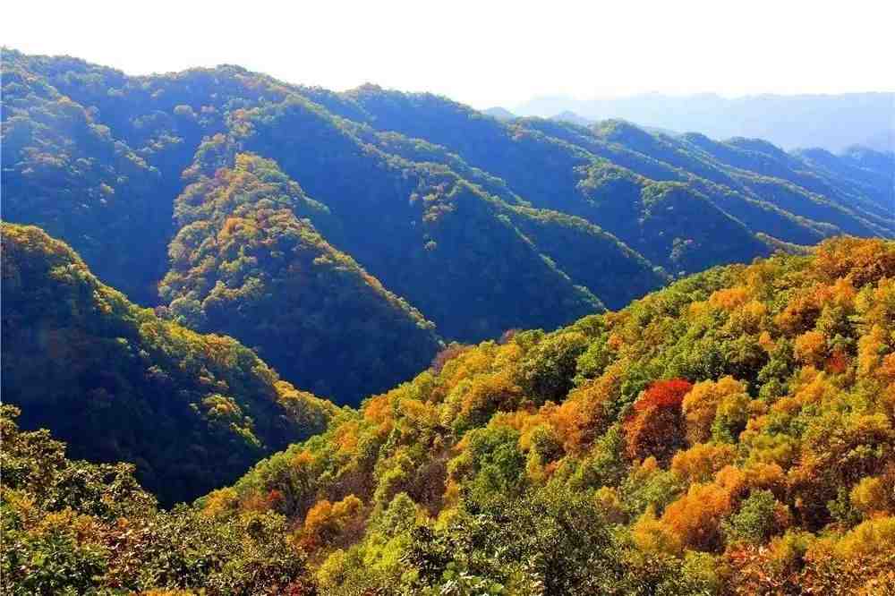 黄龙的秋天已送达,满山红叶惊艳来袭……休闲区蓝鸢梦想 - Www.slyday.coM 黄龙的秋天已送达,满山红叶惊艳来袭……休闲区蓝鸢梦想 - Www.slyday.coM