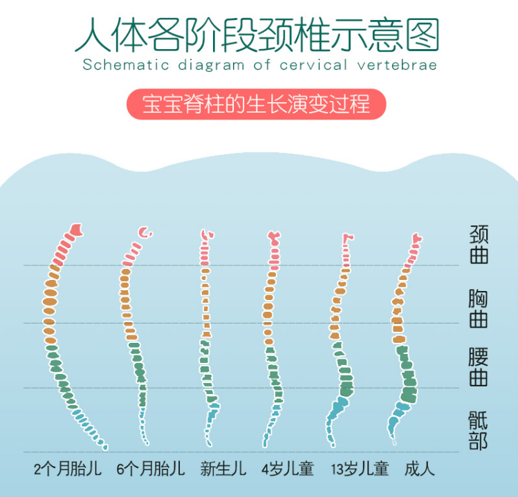 家长的3种行为影响宝宝脊柱发育长大可能矮人一截