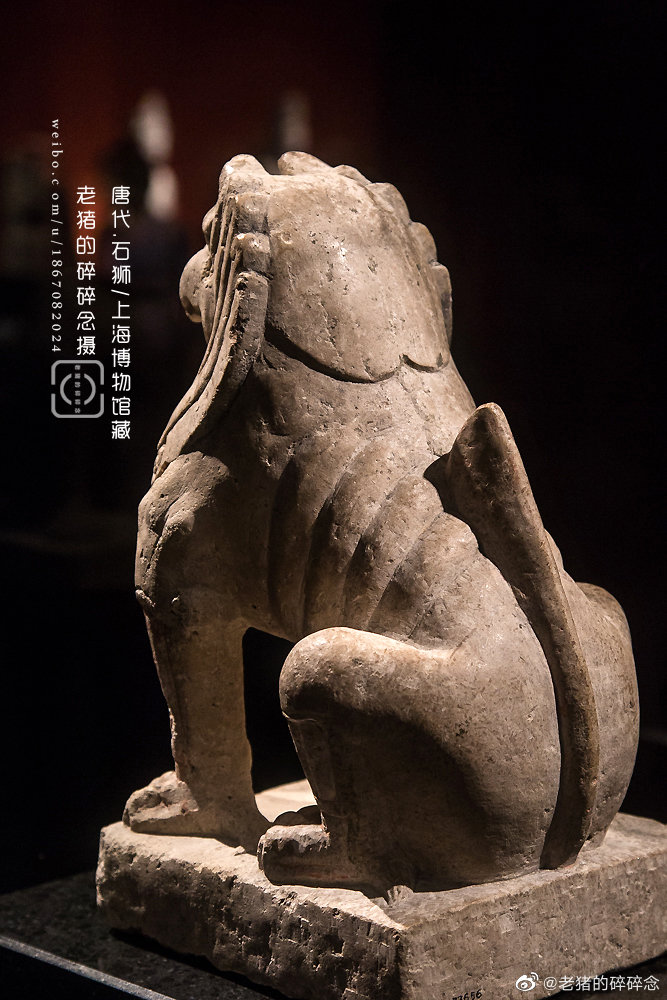 唐石狮上海博物馆藏