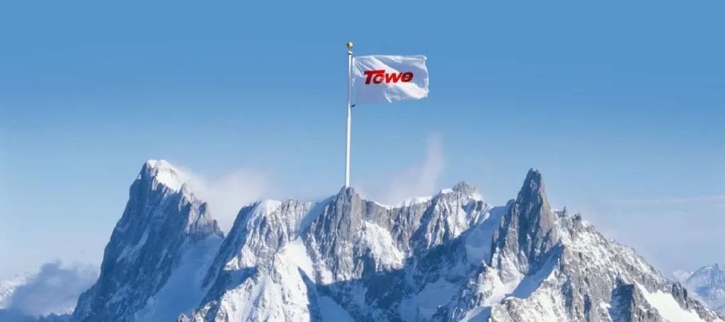 强承载力，防雷抗浪涌，同为（TOWE）大功率数据中心机房PDU插排测评__财经头条