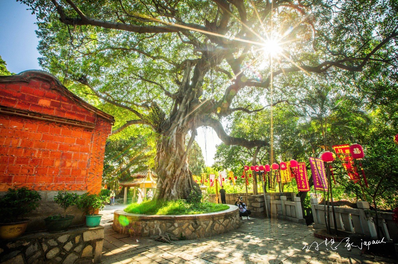 泉州的蟳埔民俗渔村,有一个特殊的风俗叫做簪花围