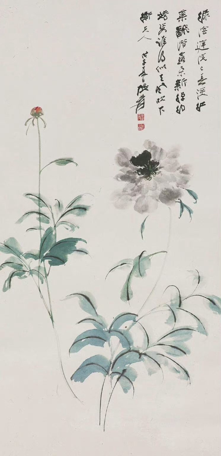 张大千 · 花鸟欣赏