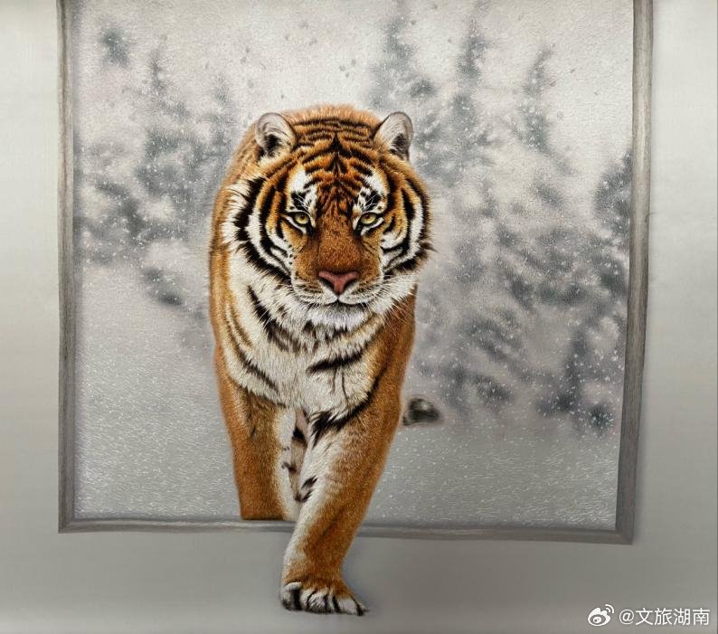 湘绣绣虎,驰名天下,而绣虎之难,难在皮毛