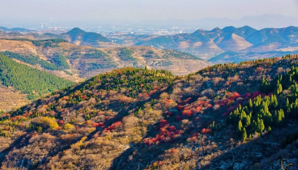 济南免费赏红叶“天花板”，盘山+赏红叶，一条线路就go了！休闲区蓝鸢梦想 - Www.slyday.coM