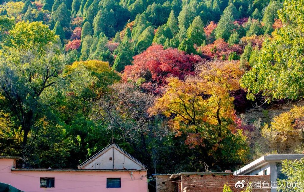 济南免费赏红叶“天花板”，盘山+赏红叶，一条线路就go了！休闲区蓝鸢梦想 - Www.slyday.coM