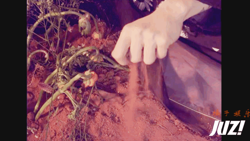 960_540gif 动态图 动图