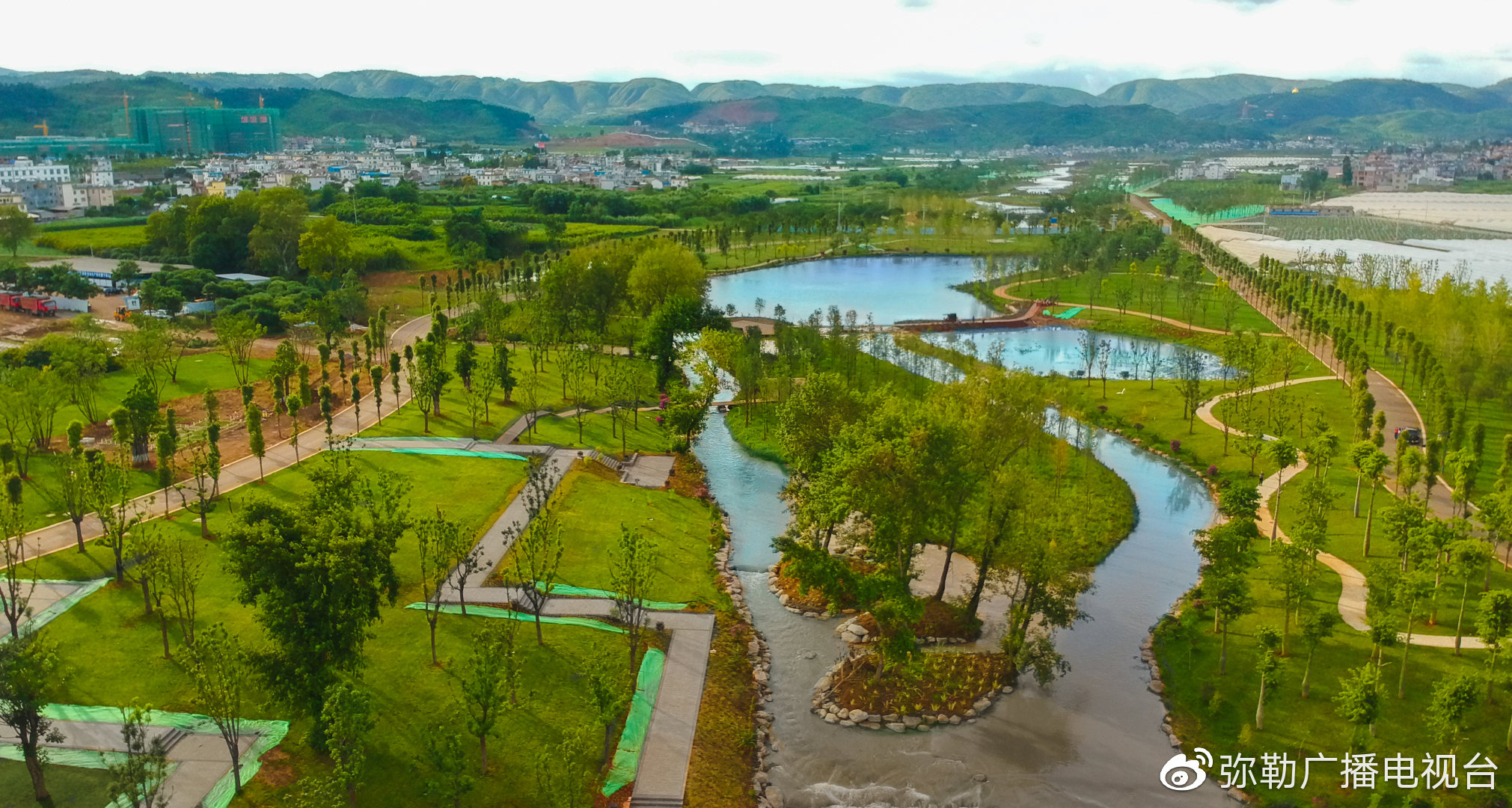 千城胜景红河弥勒紫荆花点靓十里甸溪