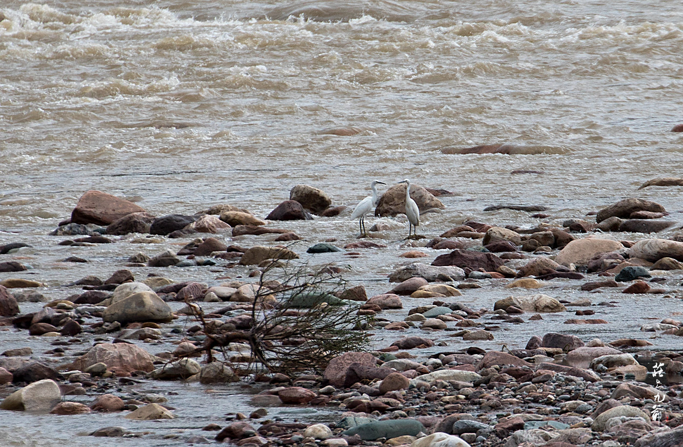 太行山区连续下雨五日 桥断屋塌 水鸟都傻眼了休闲区蓝鸢梦想 - Www.slyday.coM 太行山区连续下雨五日 桥断屋塌 水鸟都傻眼了休闲区蓝鸢梦想 - Www.slyday.coM