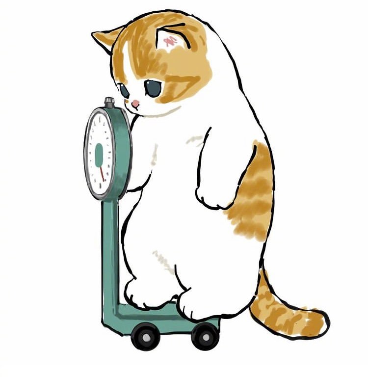 减肥喵的日常,像极了正在减肥的你_高清图集_新浪网