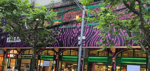 Prada菜场外现“买椟还珠”，女子拍完照直接扔掉芹菜惊呆环卫工休闲区蓝鸢梦想 - Www.slyday.coM