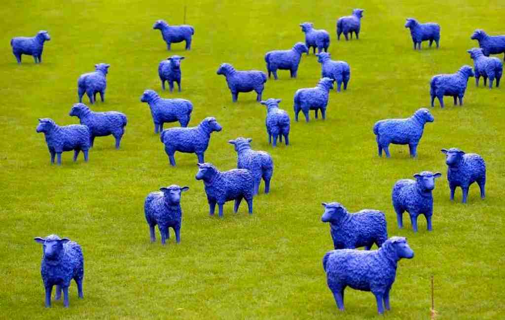 【灵感】关于景观里的"羊里个羊",你要不要来看看__财经头条