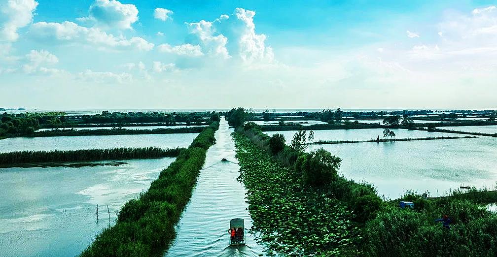 美麗江蘇·每日一景丨洪澤湖西順河溼地:湖畔水鄉 秋色初顯