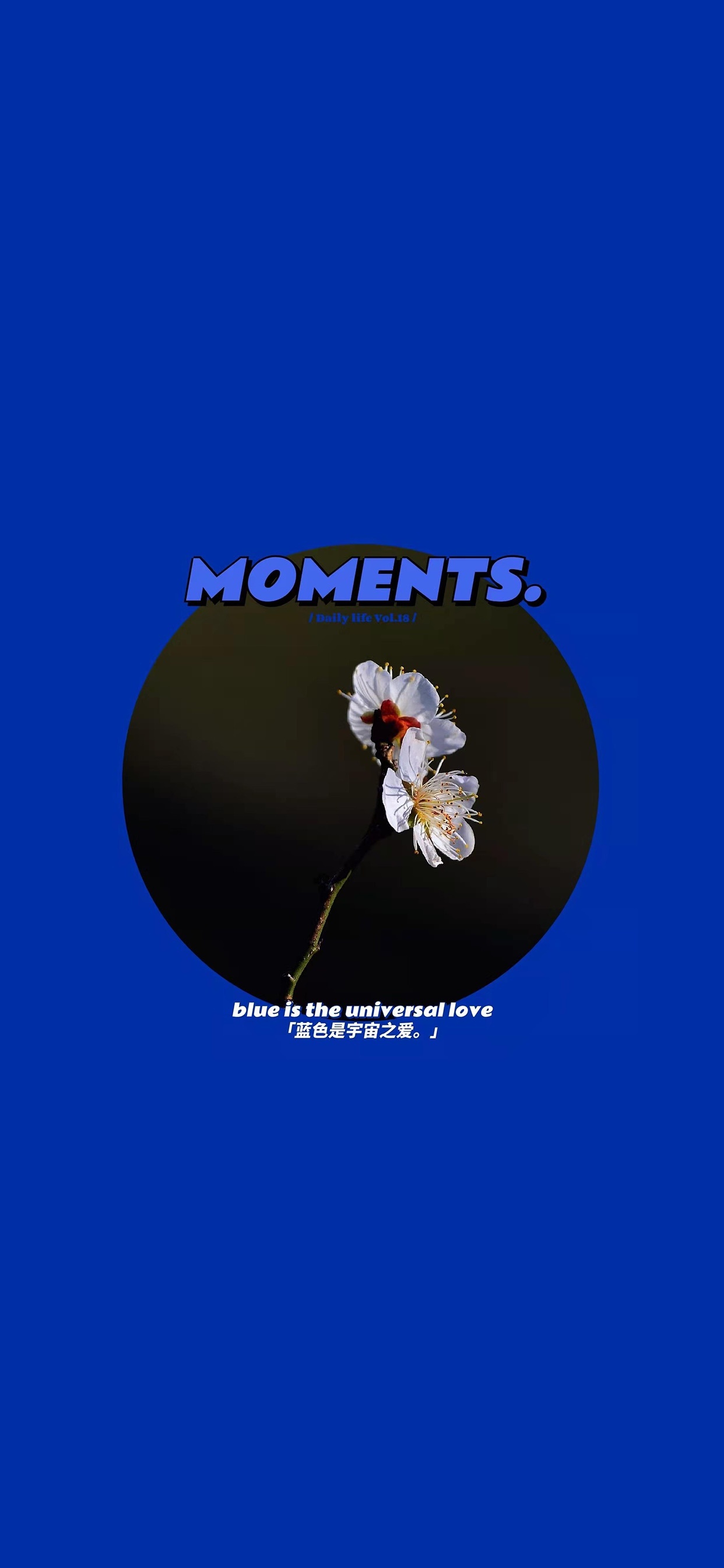 klein blue 克莱因蓝