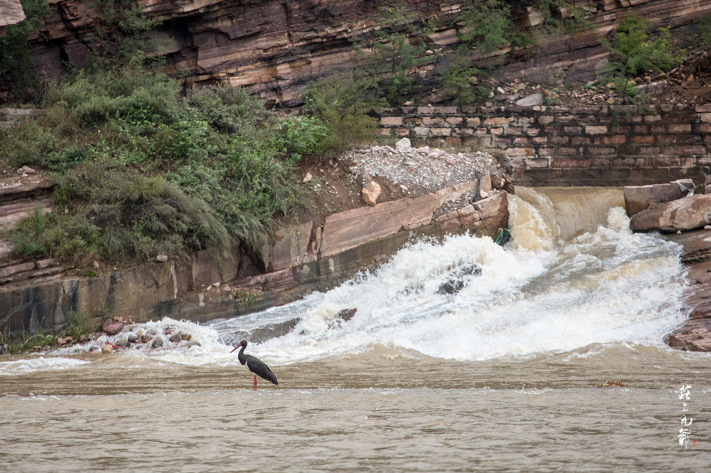 太行山区连续下雨五日 桥断屋塌 水鸟都傻眼了休闲区蓝鸢梦想 - Www.slyday.coM 太行山区连续下雨五日 桥断屋塌 水鸟都傻眼了休闲区蓝鸢梦想 - Www.slyday.coM