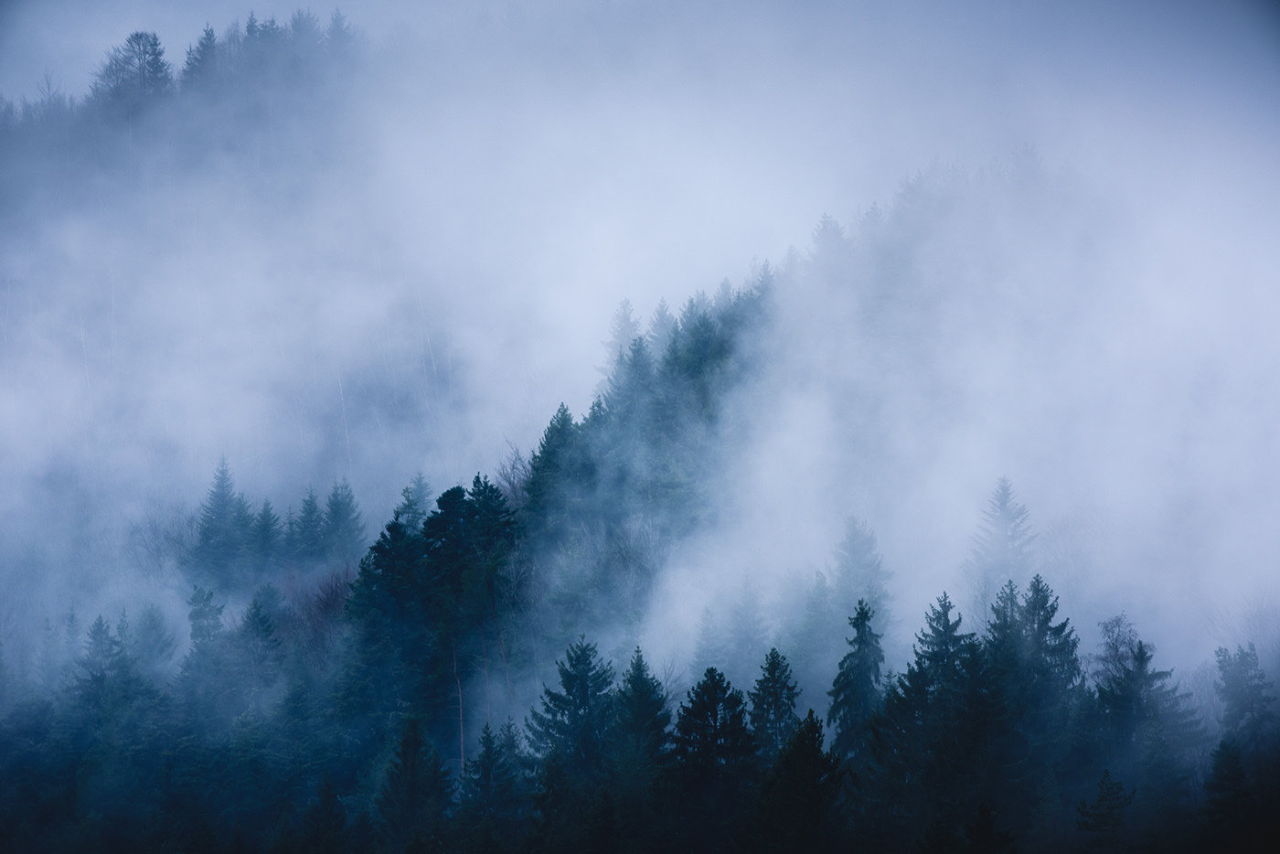 法国东部小镇普兰凡,日出前的山林迷雾.photo by guiot damien