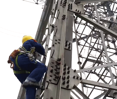 电网人最擅长哪些奥运会项目