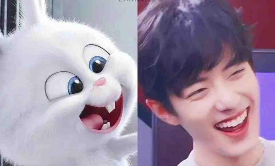 动物系男明星有多离谱？肖战兔系，猴系帅哥多，看到虾系绷不住了休闲区蓝鸢梦想 - Www.slyday.coM