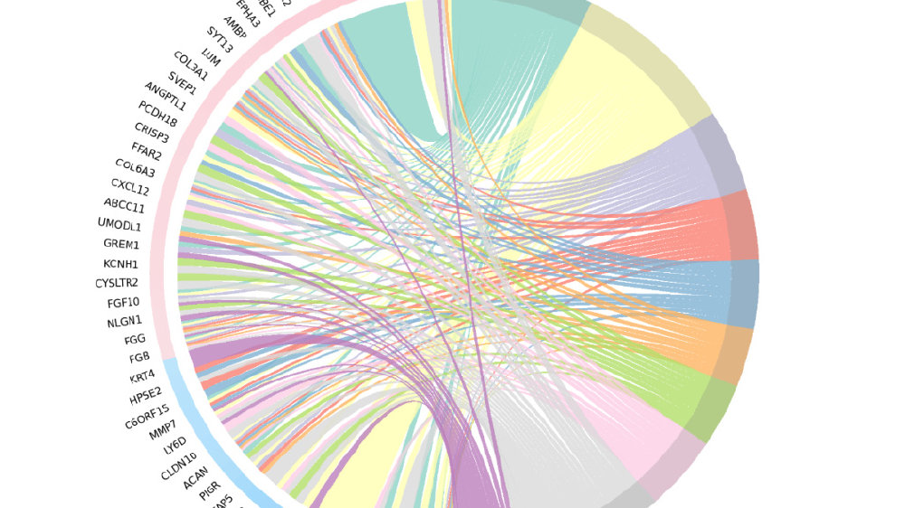 一篇文章带你了解基因富集分析的四大数据库|数据库|欧易|R语言|著作权|美图_新浪新闻
