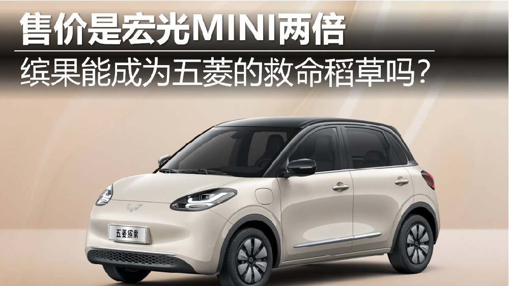 人才引进一定要两倍社保吗？