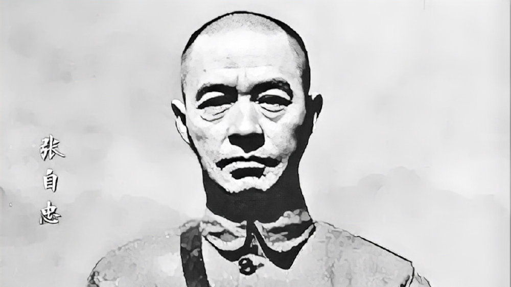 张自忠的双重人生:汉奸标签下的抗日英雄真面目|历史|华北|叛国者|主观性|己方_新浪新闻