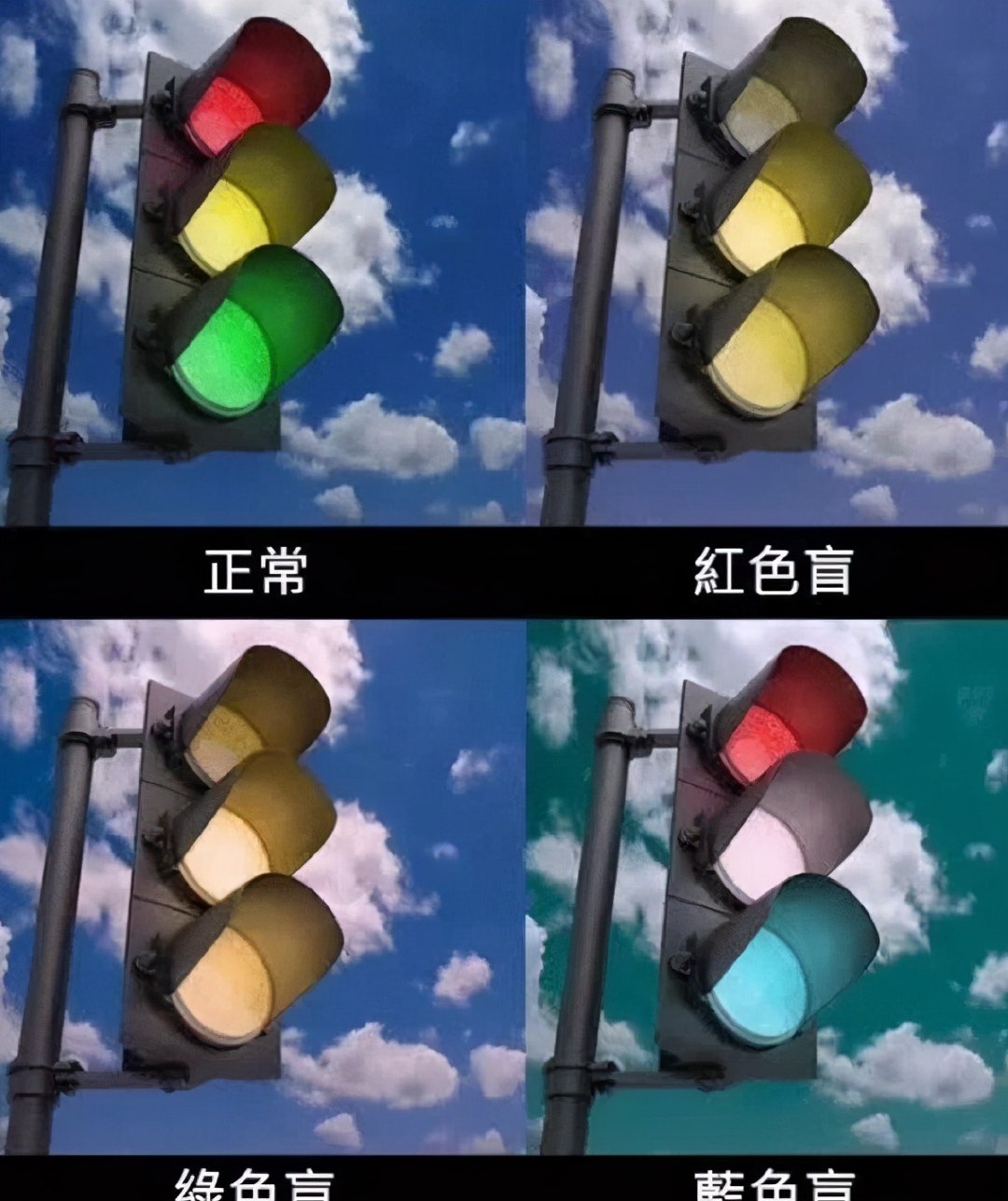 驾驶员考试专用色盲图若你连3张都认不出来或与驾照无缘了