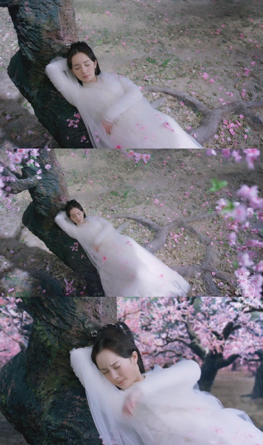《三生三世十里桃花》白浅偷喝桃花酒,在桃林睡觉