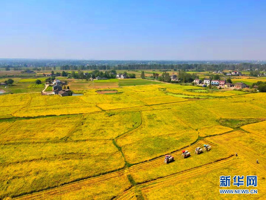 荆楚大地迎丰收色彩斑斓如画卷