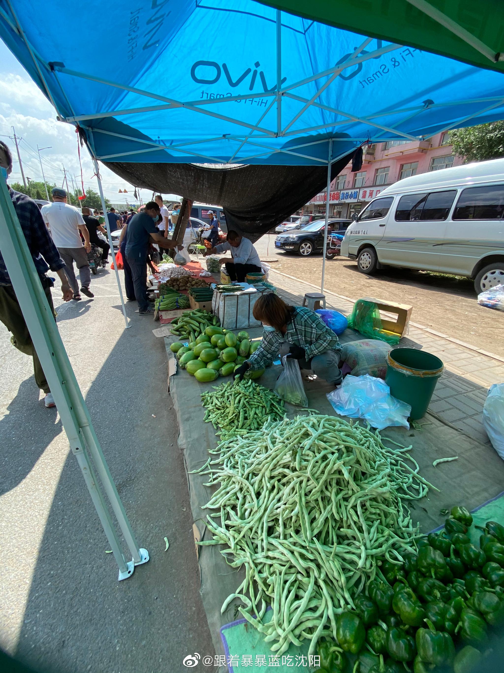 蒲河大集,沈阳最大的早市集,每个月逢2,5,8有集