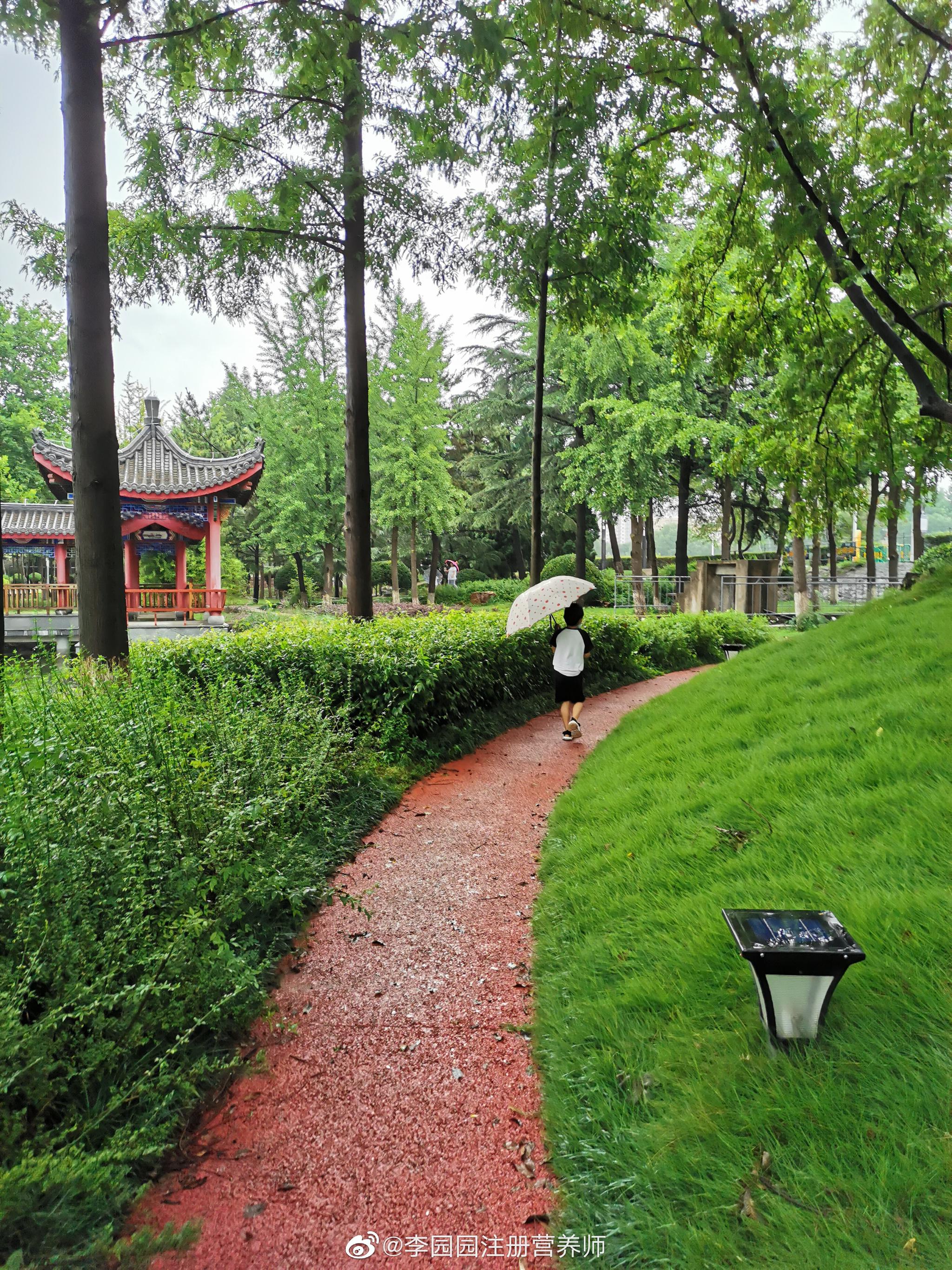 早雨中的小公园