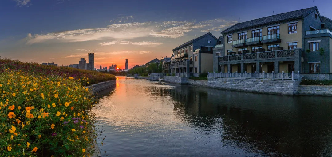这座离海最近的小镇,私藏了一个风味江湖……|小镇|江湖|东夷_新浪新