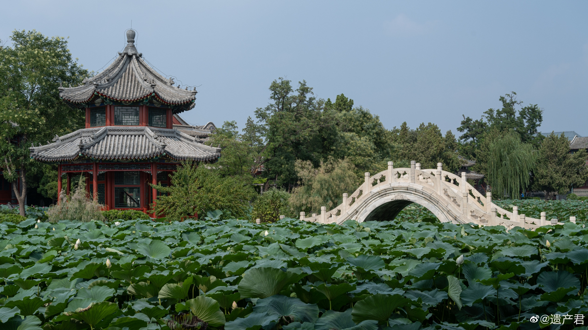 河北保定莲花池,保存较为完好的北方园林……_高清图集_新浪网