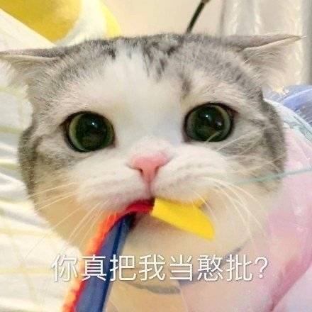 表情包 | 你真把我当憨批?_高清图集_新浪网
