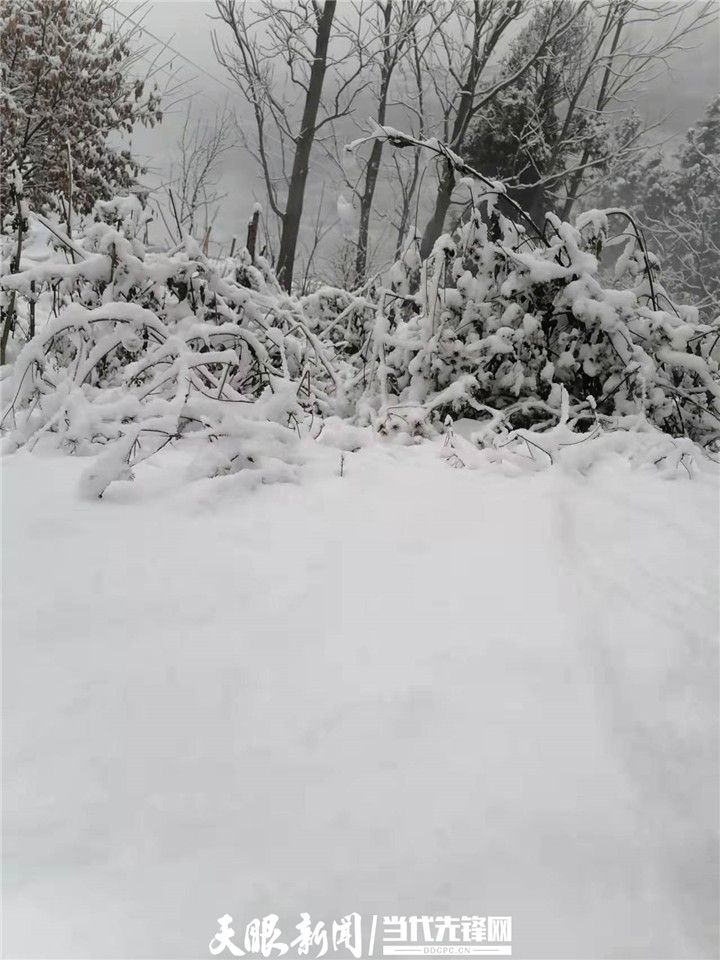 贵州各地雪景实拍