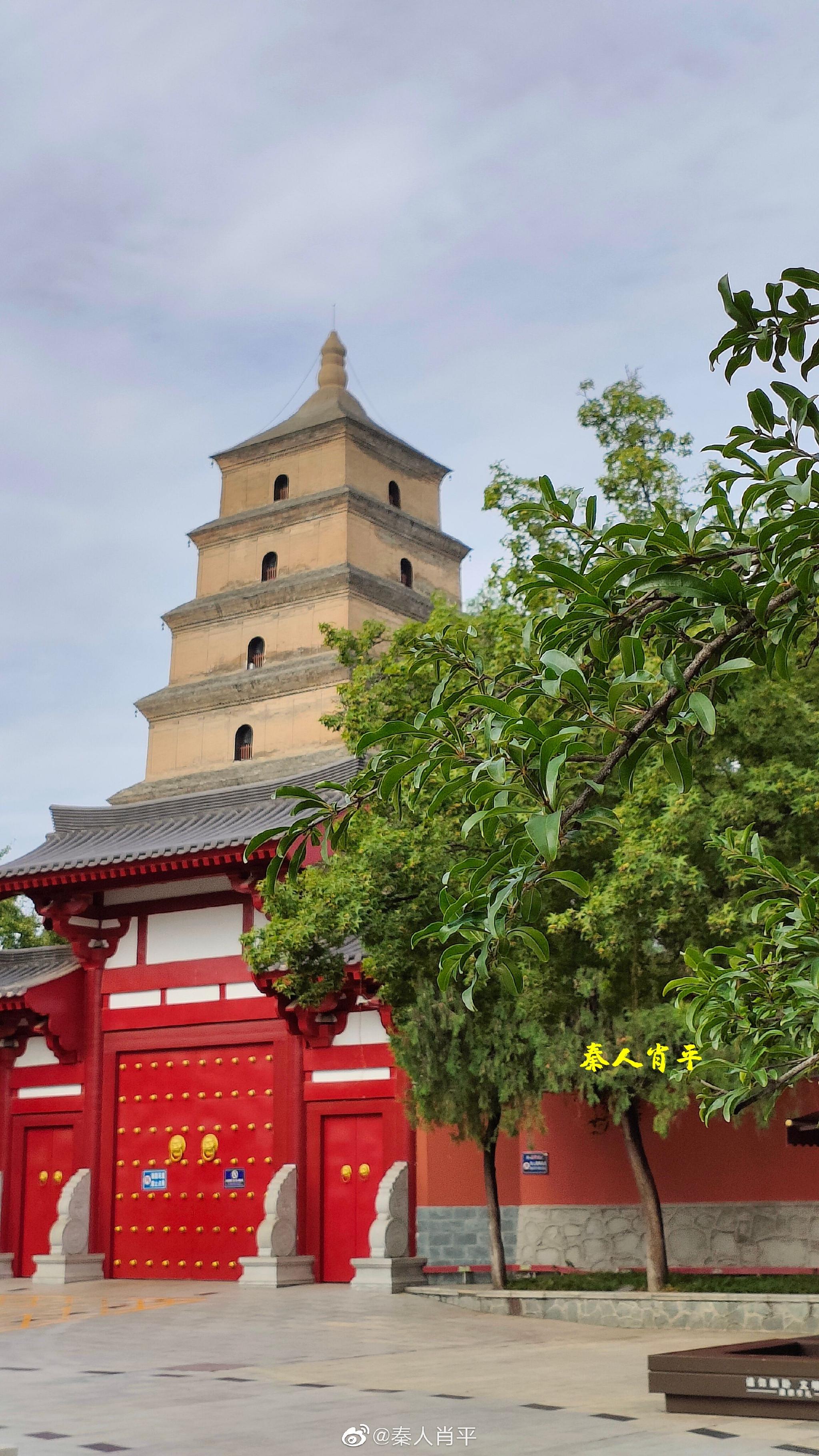 雨后天晴,西安大雁塔在蓝天绿荫的衬托下格外美!__财经头条