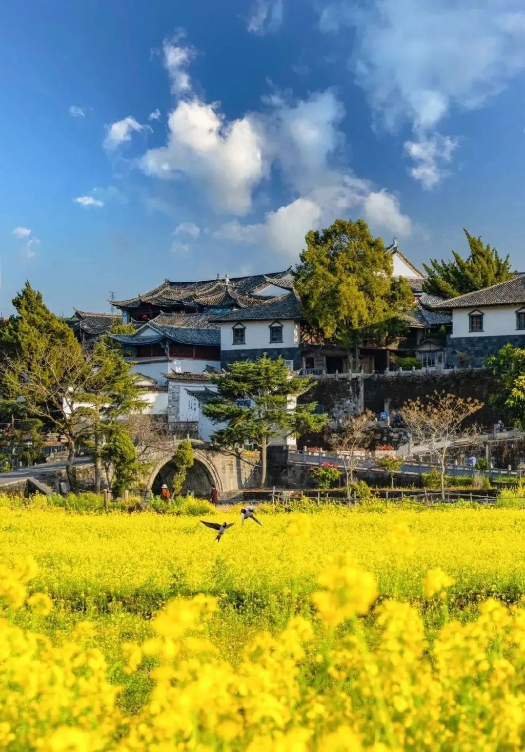 云南腾冲:漫步春日和顺