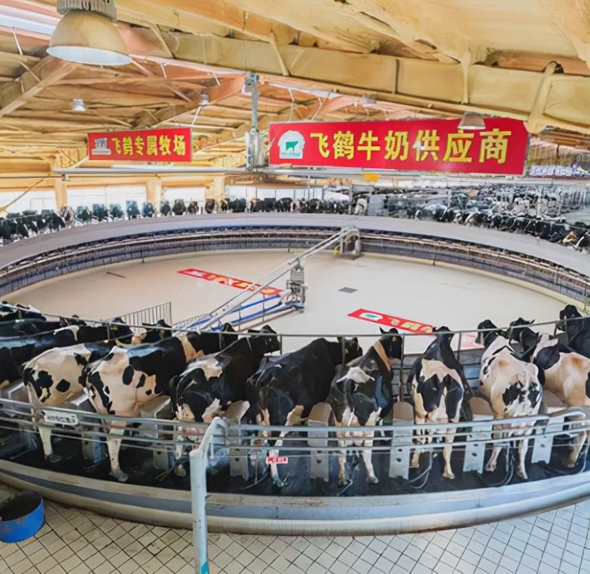全产业链意味着公司从饲料供应,牧场管理,奶牛养殖,挤奶,牛奶制作