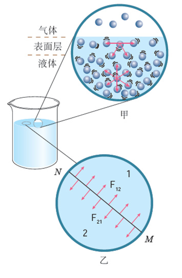 “天宫课堂”第二课你看懂了吗？哪些实验家里也能做？休闲区蓝鸢梦想 - Www.slyday.coM