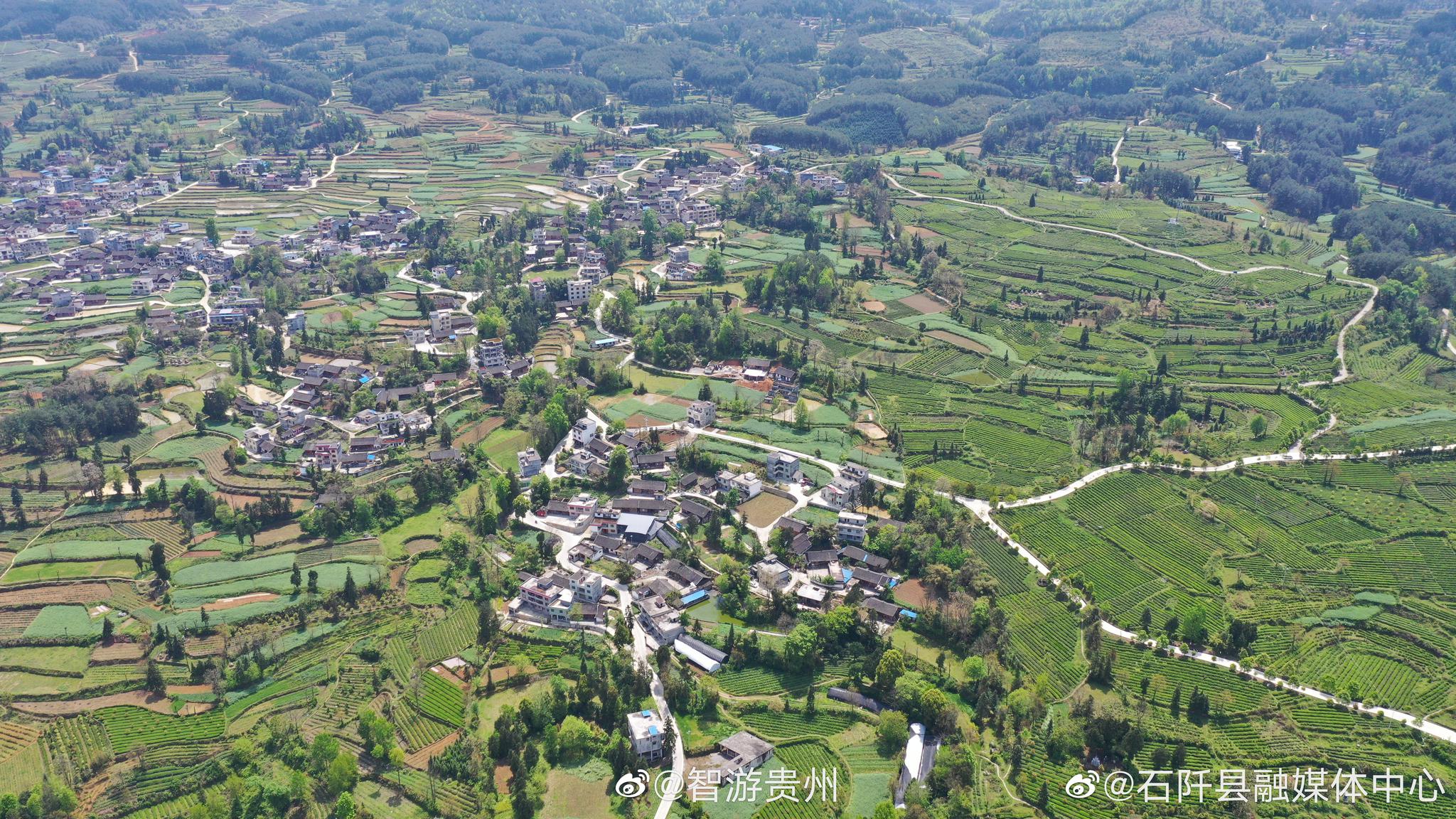 1 / 9   清明过后,位于贵州省石阡县龙塘镇的现代高效生态苔茶示范