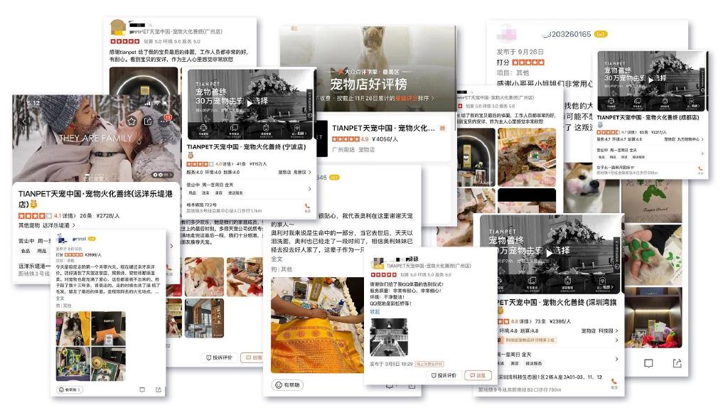 重庆宠物火化,大众点评金牌推荐商家入驻江北嘴IFS商圈__财经头条